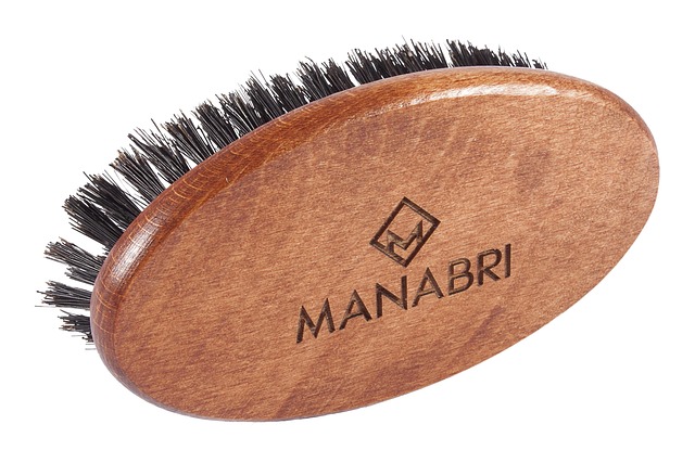 beard brush