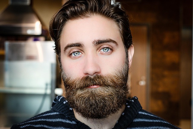 Hình ảnh minh họa ý nghĩa của từ bearded