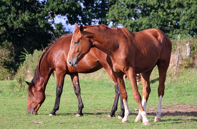 Hình ảnh minh họa ý nghĩa của từ beauty standards