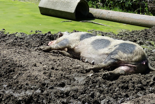 Hình ảnh minh họa ý nghĩa của từ become relaxed