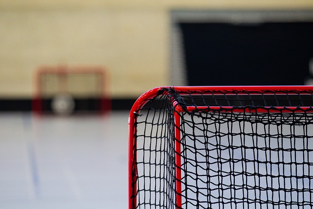 bed net
