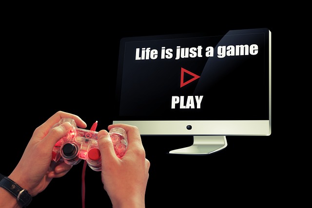 begin life