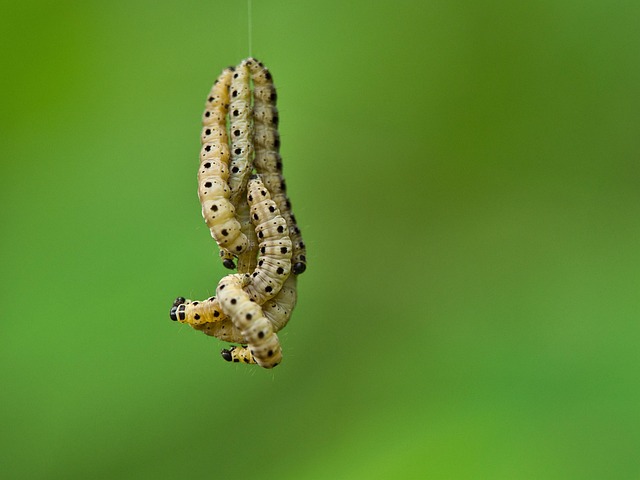 being developed