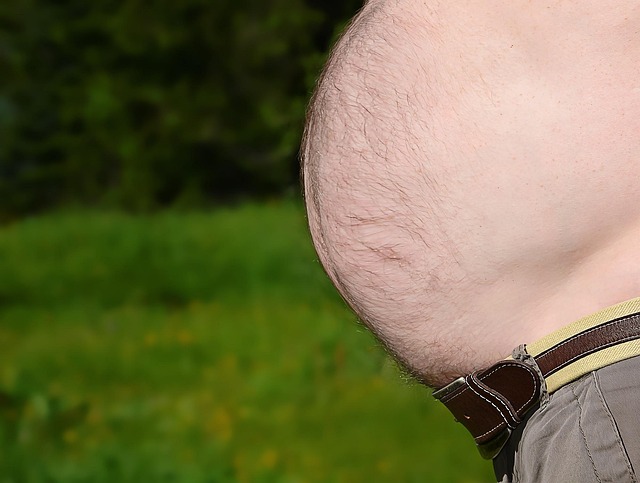 Hình minh họa barriga
