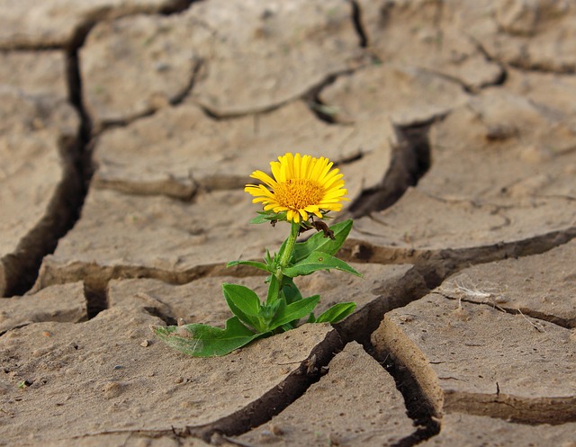 benefit from adversity