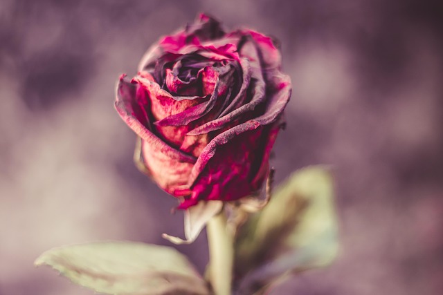 bereaved woman
