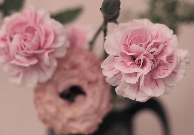 Hình ảnh minh họa ý nghĩa của từ bestowing