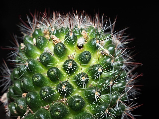 Hình ảnh minh họa ý nghĩa của từ bestseller