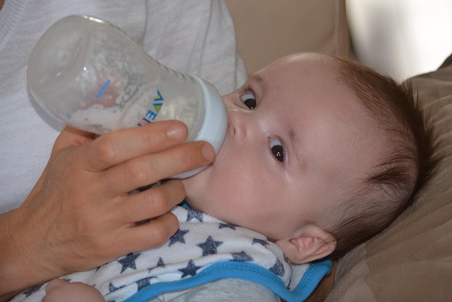 bib