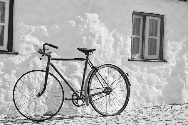 bicycle frame