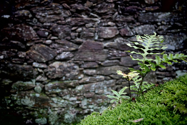 Hình ảnh minh họa ý nghĩa của từ bilateral weakness