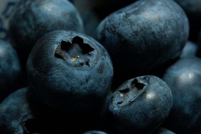 Hình ảnh minh họa ý nghĩa của từ bilberry
