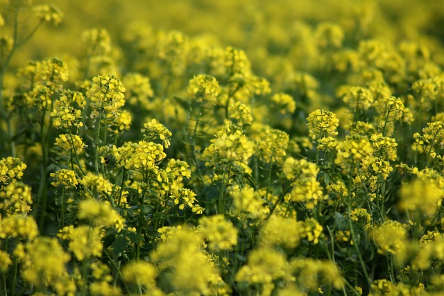 biological activity