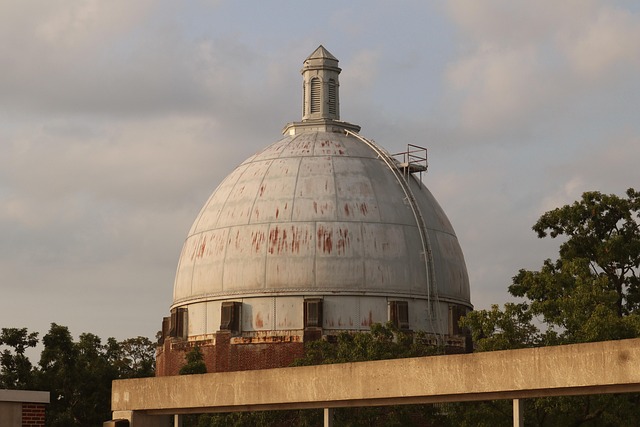 Hình ảnh minh họa ý nghĩa của từ biomechanics