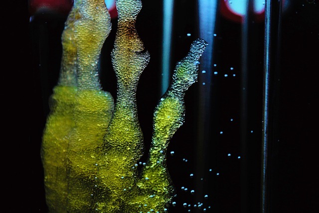 Hình ảnh minh họa ý nghĩa của từ bioprinting