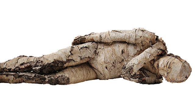 birch