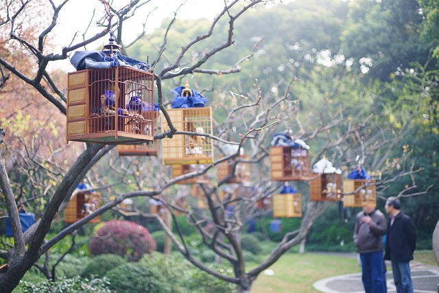 birdcage