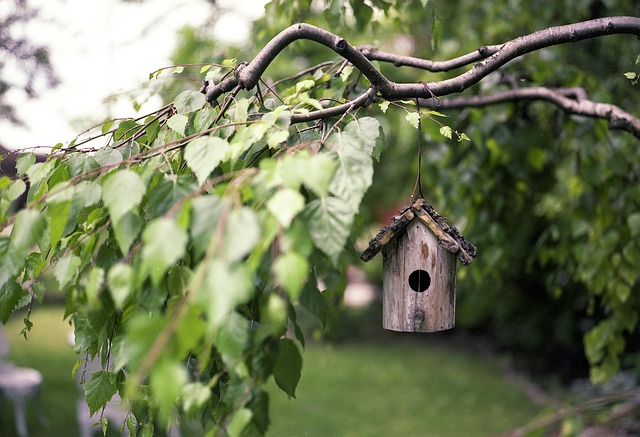 birdhouse