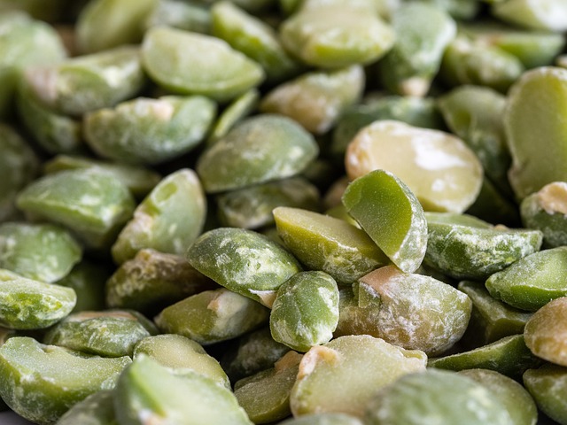 Hình ảnh minh họa ý nghĩa của từ bisect