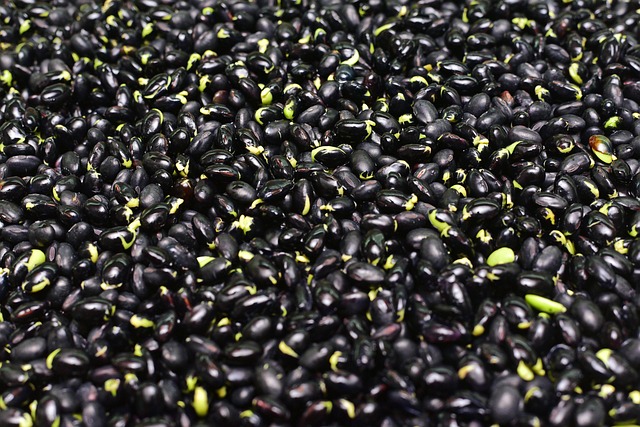 black bean