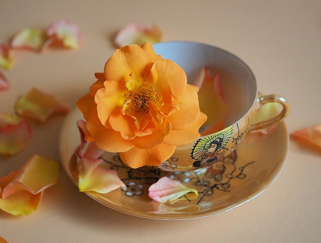 blossoms