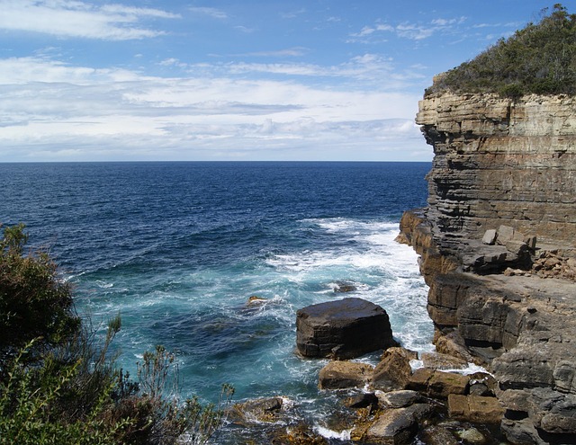 blowhole