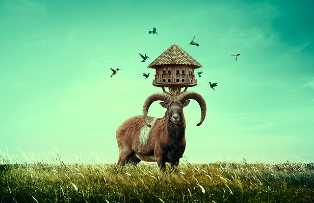 Hình ảnh minh họa ý nghĩa của từ blustery