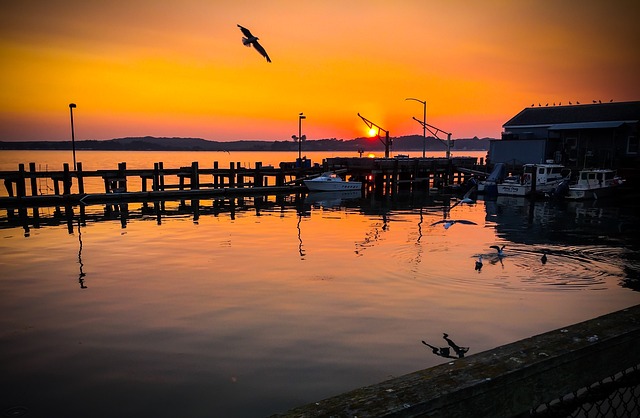 Hình ảnh minh họa ý nghĩa của từ bodega