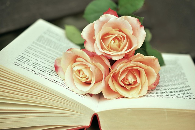 Hình minh họa libri