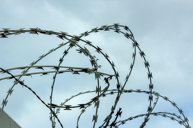 Hình ảnh minh họa ý nghĩa của từ border security