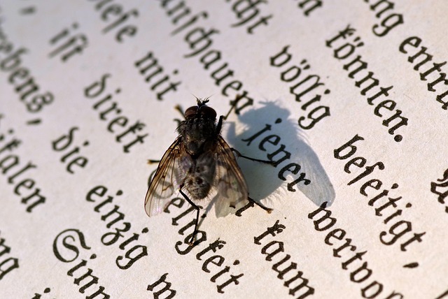 Hình ảnh minh họa ý nghĩa của từ bothered