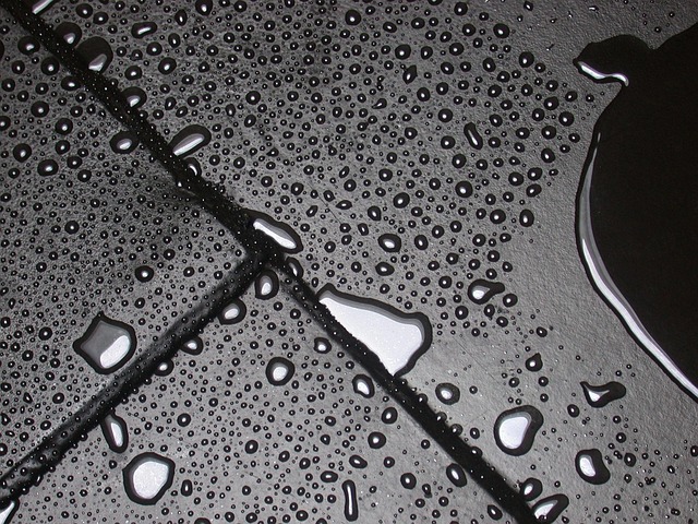 bottom surface