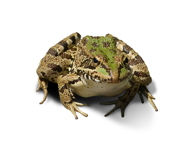 Hình ảnh minh họa ý nghĩa của từ bottomless