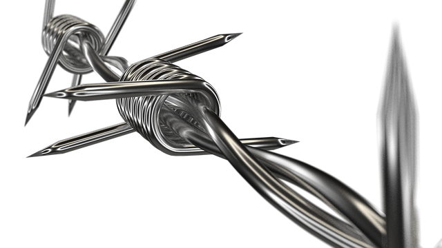 Hình ảnh minh họa ý nghĩa của từ boundary control