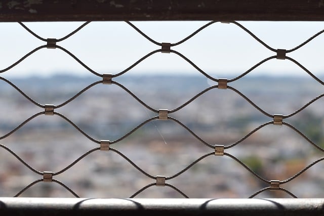 Hình ảnh minh họa ý nghĩa của từ boundary security