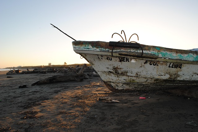 Hình ảnh minh họa ý nghĩa của từ bout