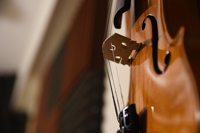 bowed string instrument