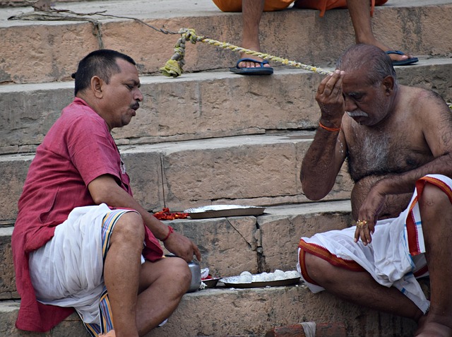 Hình ảnh minh họa ý nghĩa của từ brahmin