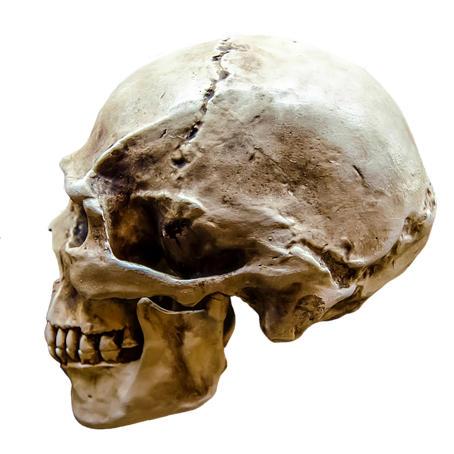 Hình ảnh minh họa ý nghĩa của từ brain death