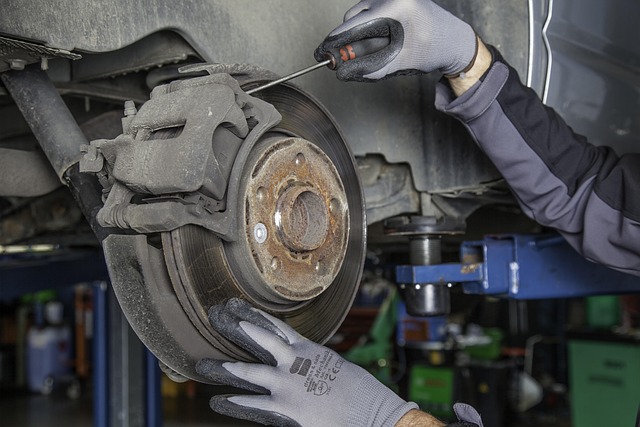 brake shoe