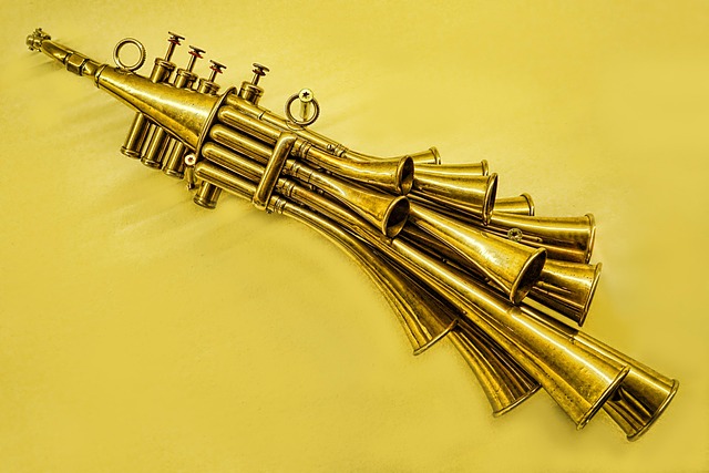 Hình ảnh minh họa ý nghĩa của từ brass instrument