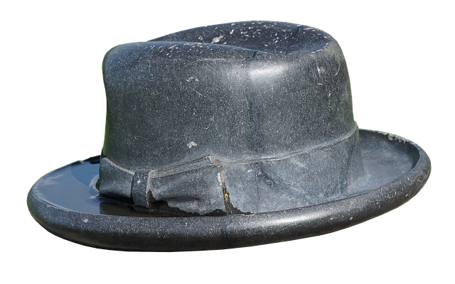 Hình ảnh minh họa ý nghĩa của từ brim