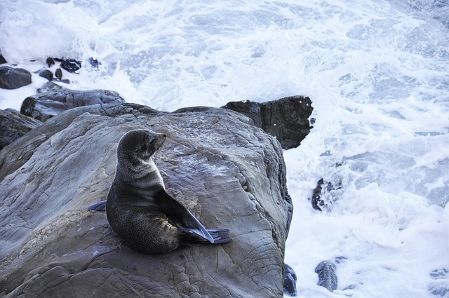 Hình ảnh minh họa ý nghĩa của từ brine