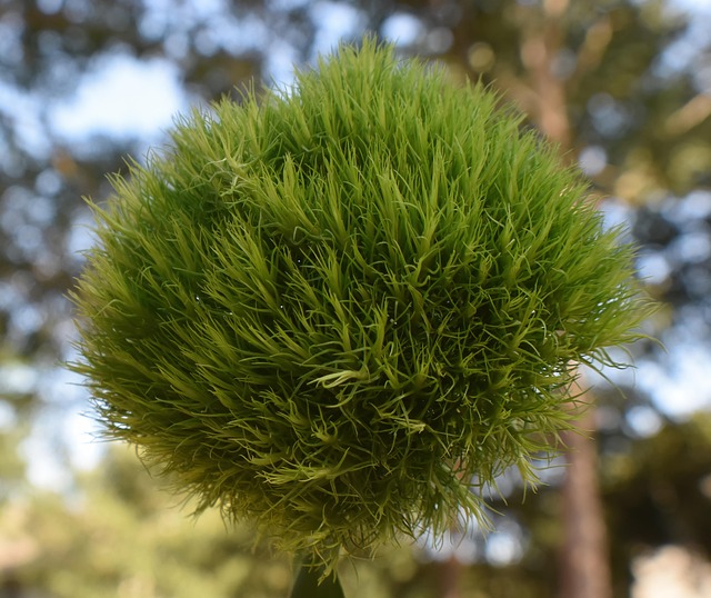 Hình ảnh minh họa ý nghĩa của từ brisk