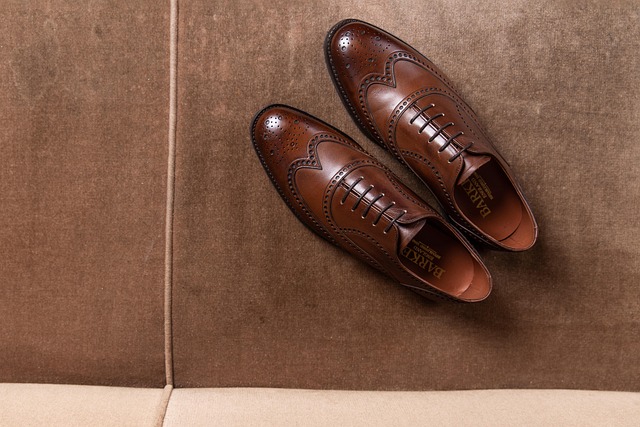 Hình ảnh minh họa ý nghĩa của từ brogues