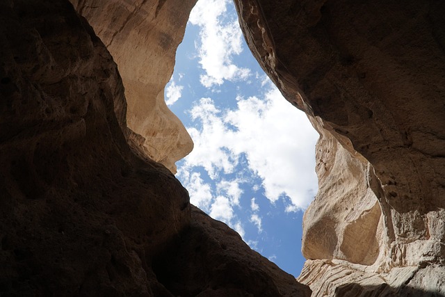 Hình ảnh minh họa ý nghĩa của từ brought into the world