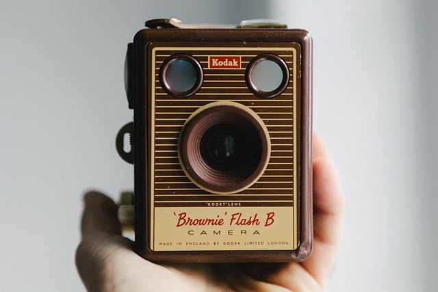 brownie