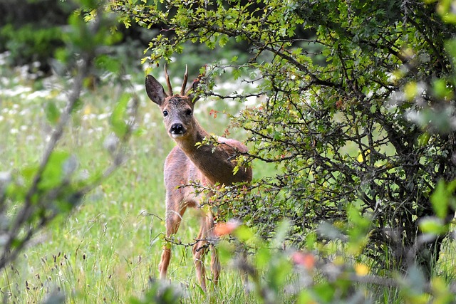 buck the trend