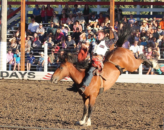 bucking