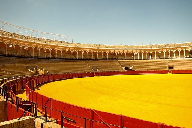 bullfight